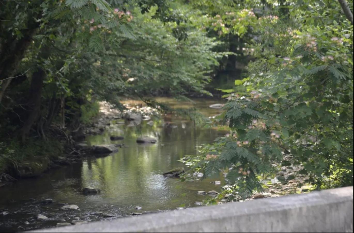 Creekside Cottage*Hot Tub*Entire Home-Pigeon Forge Exteriör bild